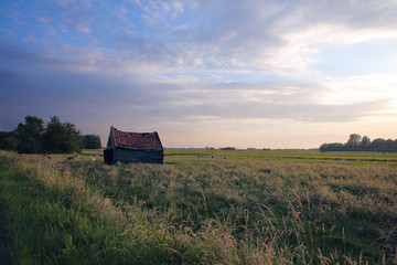 Weide met vervallen huisje en blauwe lucht