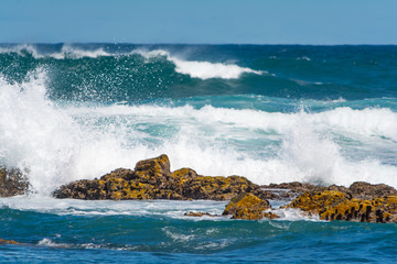 Fototapeta premium Beach in Port Elisabeth, South Africa