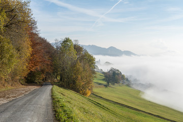 Panorama mit Nebel in der Natur