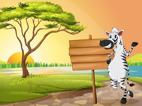 Scene with zebra and wooden sign