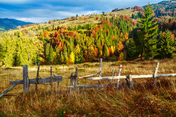 Fototapeta na wymiar Colorful autumn landscape scene with fence in Transylvania