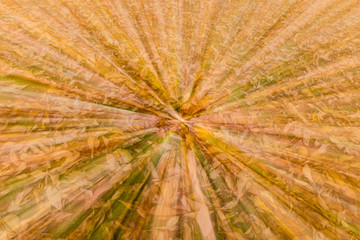 Упавшие на траву осенние листья