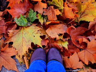 hojas secas bajo mis pies