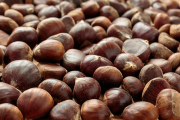 Pile of chestnuts the edible seed