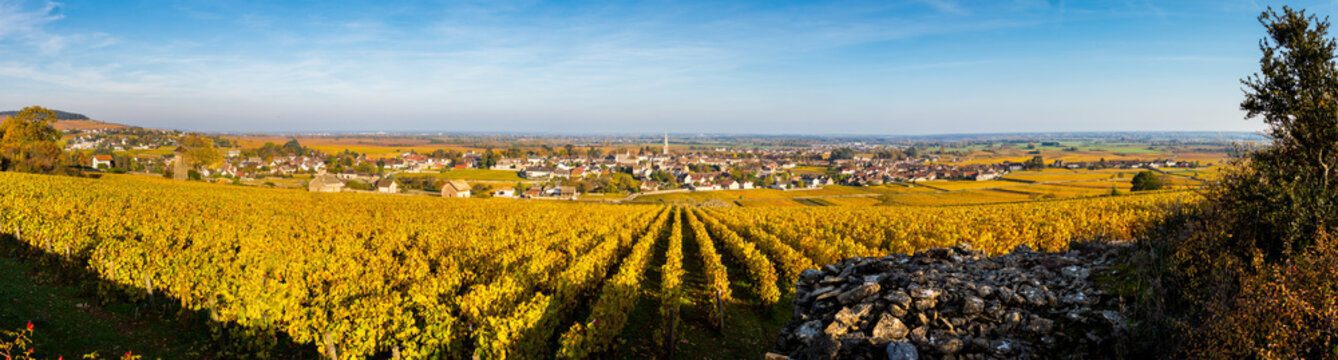 Vignes de Meursault
