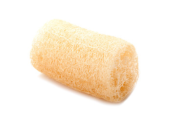 loofah natural sponge