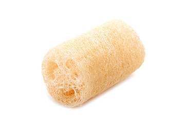 loofah natural sponge