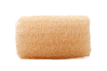 Fototapeta na wymiar loofah natural sponge