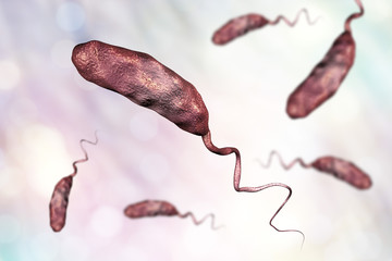 Vibrio cholerae bacterium, 3D illustration. Bacterium which causes cholera - obrazy, fototapety, plakaty