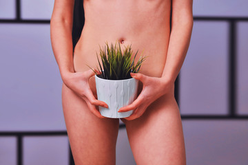 silky female skin with flower in a pot, concept depilation - obrazy, fototapety, plakaty
