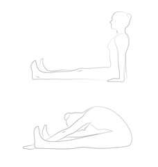 exercise for a healthy body and a beautiful posture. vector illustration.