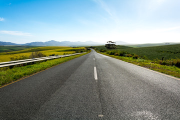 Road leading from Outshoorn to Hermanus in South Africa