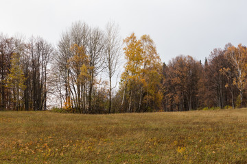 Autumn Landscape with Sunrise - Sunset and Sun Light on Tree
