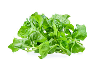 Pile of Fresh Watercress isolated on white background