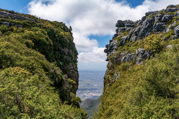 View of top of Table Mountain ins Cape Town, South Africa