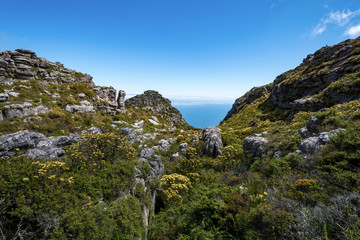 View of top of Table Mountain ins Cape Town, South Africa