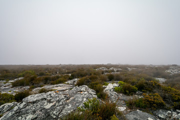 Fototapeta na wymiar View of top of Table Mountain ins Cape Town, South Africa