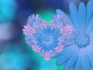 Obraz premium blue-pink flowers, on blue-turquoise blurred background . Closeup. Bright floral composition, card for the holiday. collage of flowers. Nature.