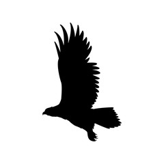 flying eagle vector illustration black silhouette