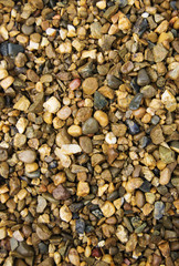 background colored wet pebbles