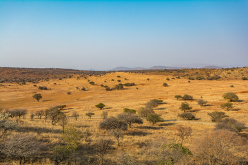 South African Veld Region