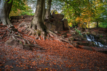 A park in Virginia Water in fall season, Surrey