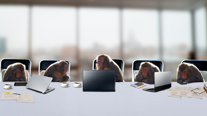 Monkeys as office staff in office. © kozorog