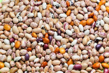 Colored beans