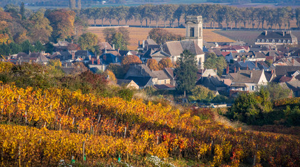 Village bourguignon