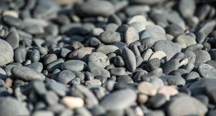 Pebble beach