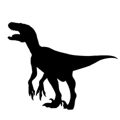 Black vector illustration silhouette of velociraptor