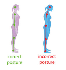 Correct alignment of human body in standing posture for good personality and healthy of spine and bone. Health care and medical illustration