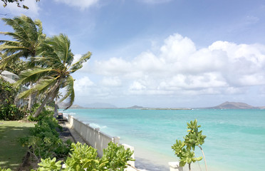 Tropical Views of Crystal Blue Ocean