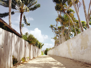 Humble path to Tropical Paradise