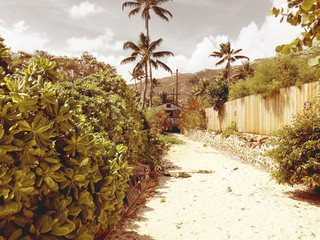 Retro Beach Bungalow in Tropical Paradise with vintage