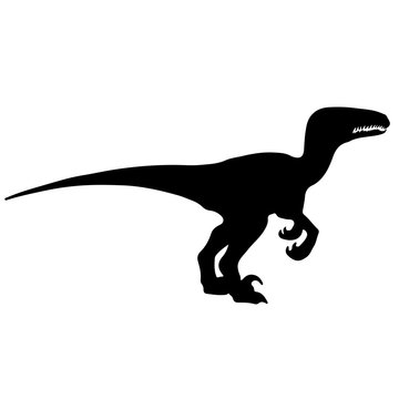 Black vector illustration silhouette of velociraptor