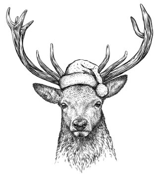 deer, black and white engrave. Christmas hat.