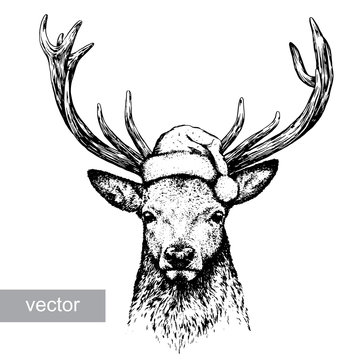 deer, black and white engrave. Christmas hat. Vector