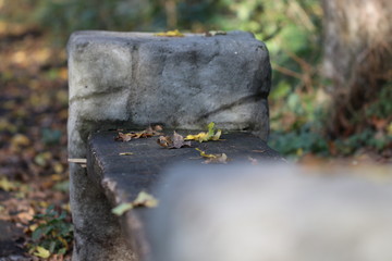 Stone texture background