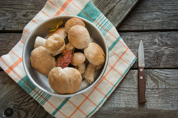 Fresh white mushrooms(boletus edulis) from forest in basket for cooking. Fall concept. Top view.