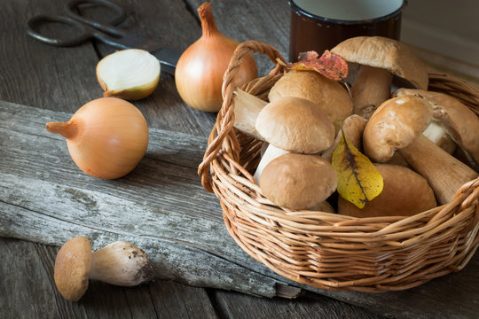 Fresh white mushrooms(boletus edulis) from forest in basket for cooking. Fall concept.