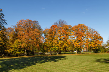 Beautiful landscape - autumn park