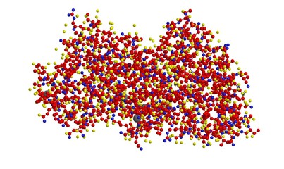 Molecular structure of thermolysin