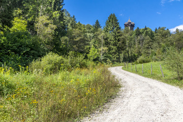 Fototapeta na wymiar Wanderweg an der Burg Niederfalkenstein in Kärnten