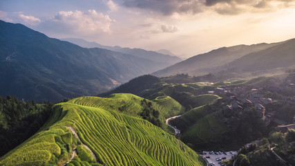 Top view or aerial shot of fresh green and yellow rice fields.Longsheng or Longji Rice Terrace in Ping An Village, Longsheng County, China.