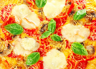 Tasty pizza, closeup