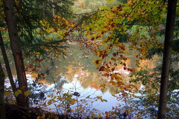 Reflection in lake, Bardejov spa, Slovakia