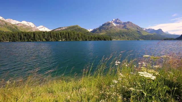 Clear Silvaplanersee with Swiss Alps in the background. Silvaplanersee is a lake in the Upper-Engadine valley of Grisons, Switzerland, Europe. 
