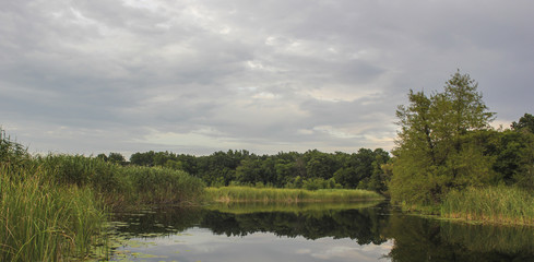 Fototapeta premium It is going to rain