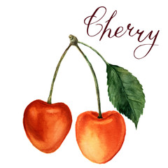 Watercolor yellow cherries with leaf and lettering Cherry. Hand drawn food illustration on white background. For design, textile and background. Realistic botanical illustration.